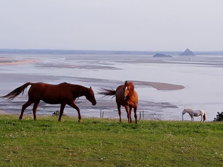 Maison Vue Sur Le Mont Saint Michel Et Sa Baie Champeaux Extérieur photo